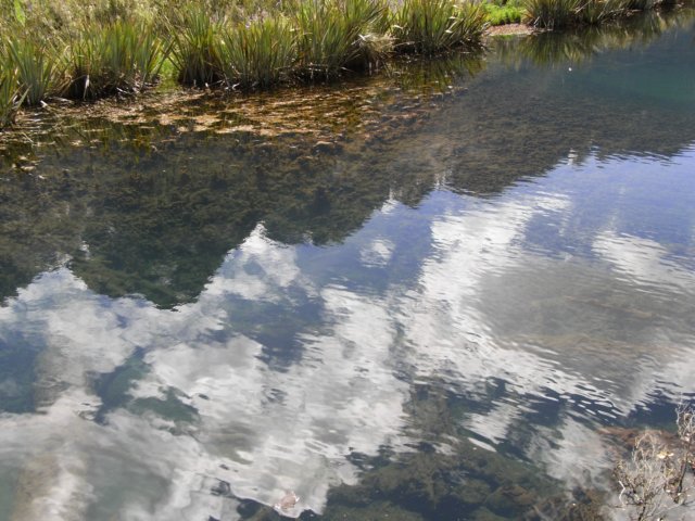 newzealandbackfrommilfordsoundmirrorlake9.jpg