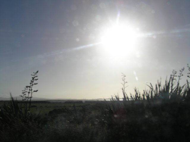 newzealandbacktoinvercargil.jpg