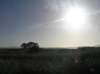 newzealandbacktoinvercargil2_small.jpg