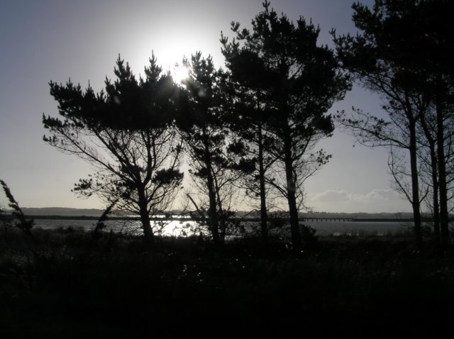 newzealandbacktoinvercargil3.jpg