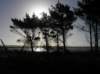 newzealandbacktoinvercargil3_small.jpg