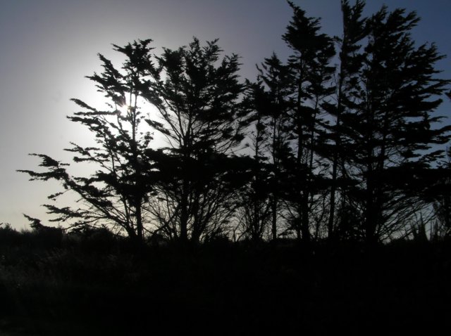 newzealandbacktoinvercargil4.jpg