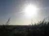 newzealandbacktoinvercargil_small.jpg
