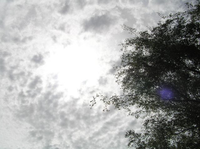 newzealandinvercargillqueenspark19.jpg