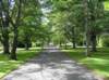 newzealandinvercargillqueenspark6_small.jpg