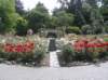 newzealandinvercargillqueenspark9_small.jpg