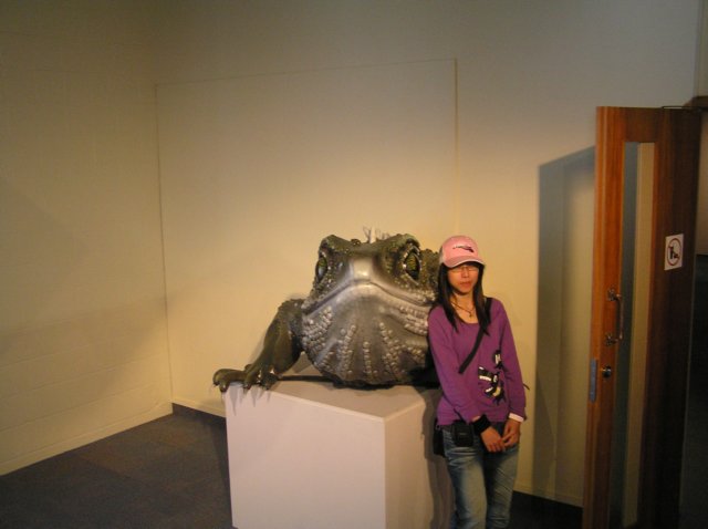 newzealandinvercargillsouthlandmuseumartgallery.jpg