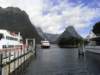 newzealandmilfordsound14_small.jpg