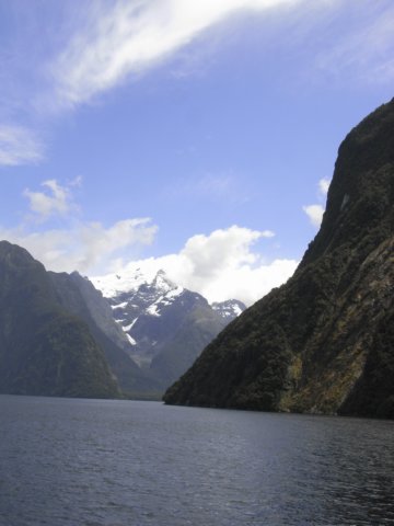 newzealandmilfordsound20.jpg