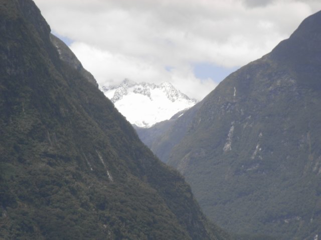 newzealandmilfordsound61.jpg