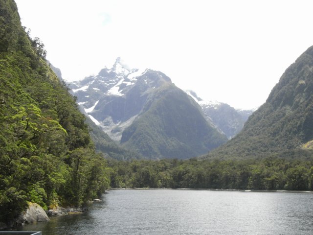 newzealandmilfordsound63.jpg