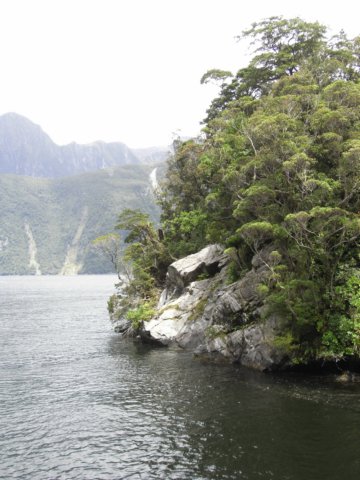 newzealandmilfordsound64.jpg