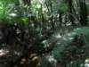 newzealandmilfordsound69_small.jpg