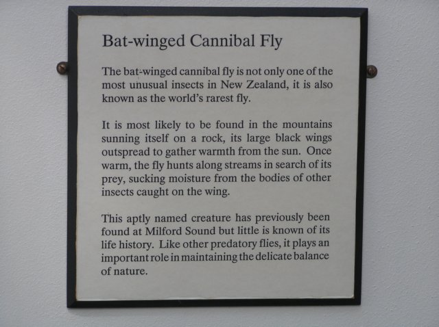 newzealandmilfordsoundsandfly2.jpg