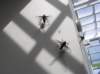 newzealandmilfordsoundsandfly3_small.jpg