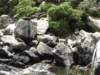 newzealandmilfordsoundseals2_small.jpg