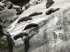 newzealandmilfordsoundseals3_small.jpg