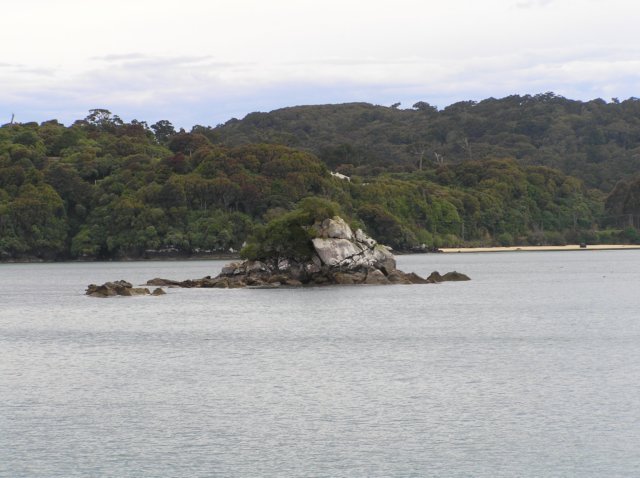 newzealandstewartisland10.jpg