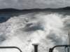 newzealandstewartisland102_small.jpg