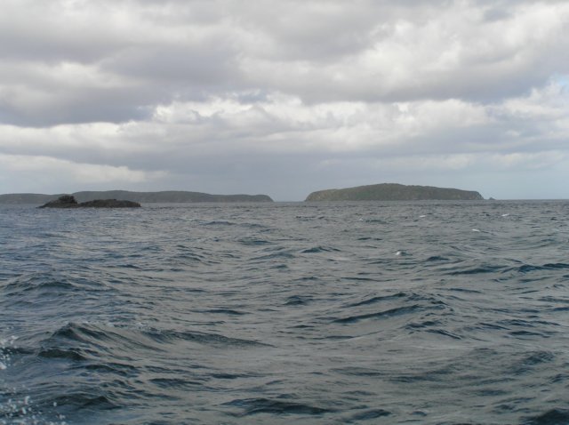 newzealandstewartisland104.jpg