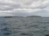 newzealandstewartisland104_small.jpg