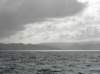 newzealandstewartisland106_small.jpg