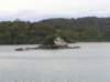 newzealandstewartisland10_small.jpg