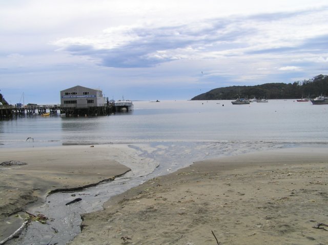 newzealandstewartisland14.jpg