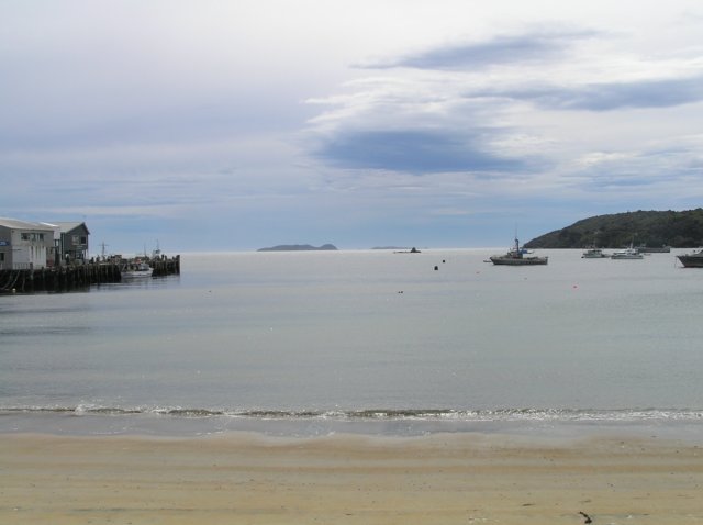 newzealandstewartisland15.jpg