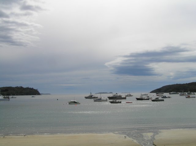 newzealandstewartisland17.jpg