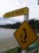 newzealandstewartisland18_small.jpg