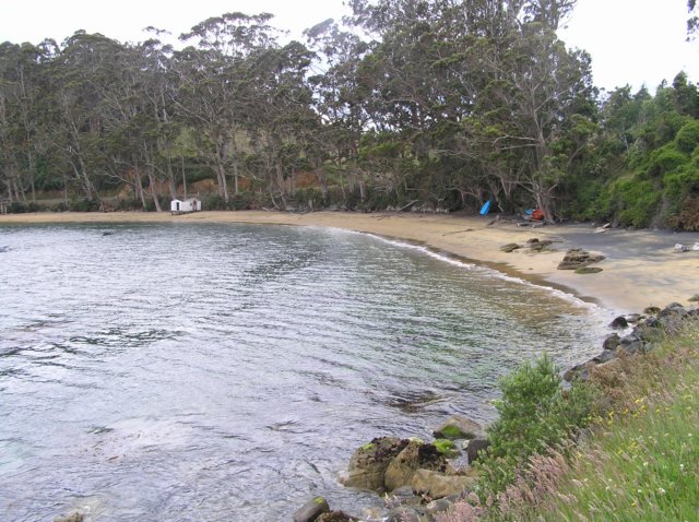 newzealandstewartisland22.jpg