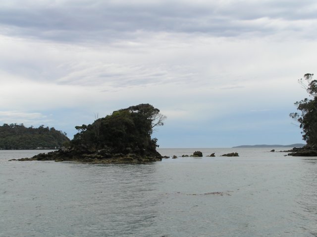 newzealandstewartisland28.jpg