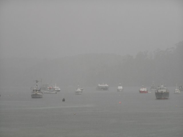 newzealandstewartisland38.jpg