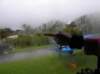 newzealandstewartisland40_small.jpg