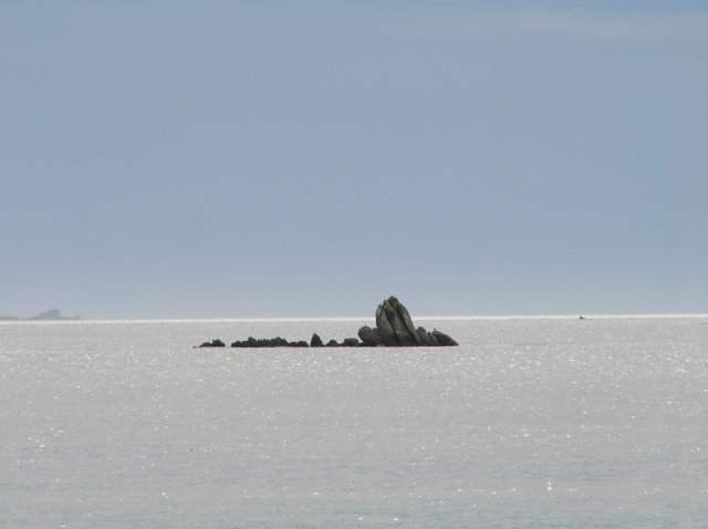 newzealandstewartisland5.jpg