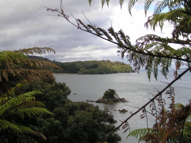 newzealandstewartisland50.jpg