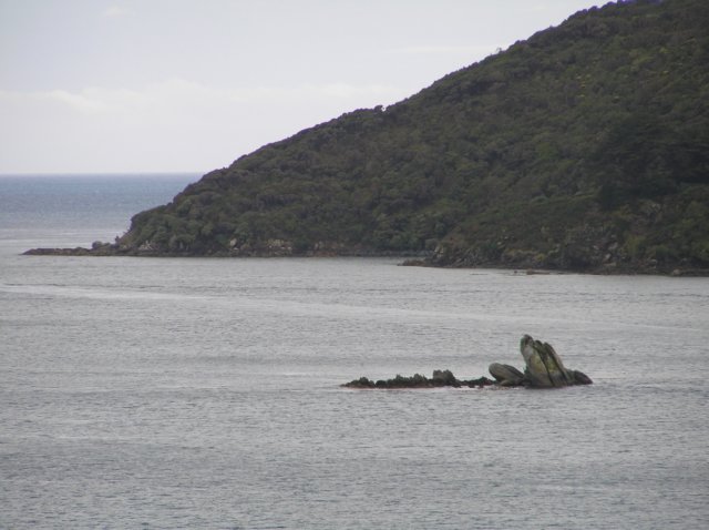 newzealandstewartisland52.jpg