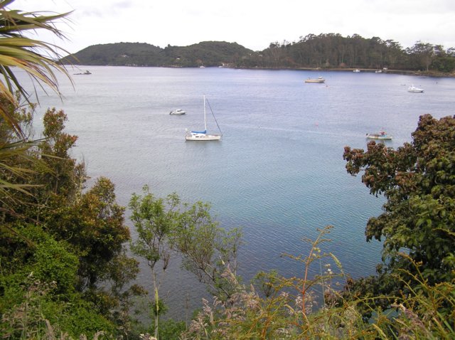 newzealandstewartisland54.jpg