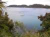 newzealandstewartisland54_small.jpg