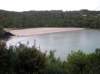 newzealandstewartisland58_small.jpg