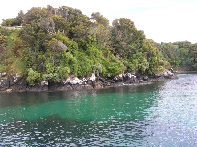 newzealandstewartisland6.jpg