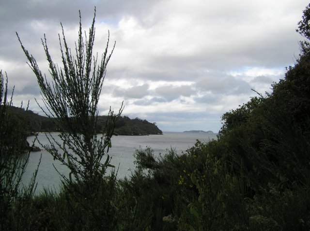 newzealandstewartisland61.jpg