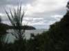 newzealandstewartisland61_small.jpg