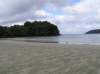 newzealandstewartisland71_small.jpg