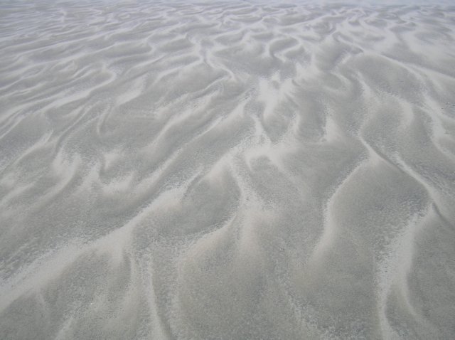 newzealandstewartisland72.jpg