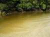 newzealandstewartisland74_small.jpg