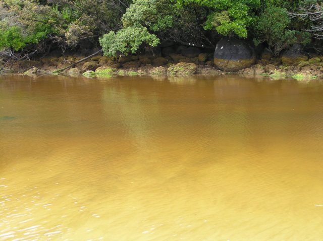 newzealandstewartisland76.jpg