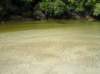 newzealandstewartisland79_small.jpg