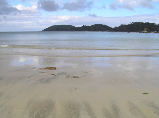 newzealandstewartisland82.jpg